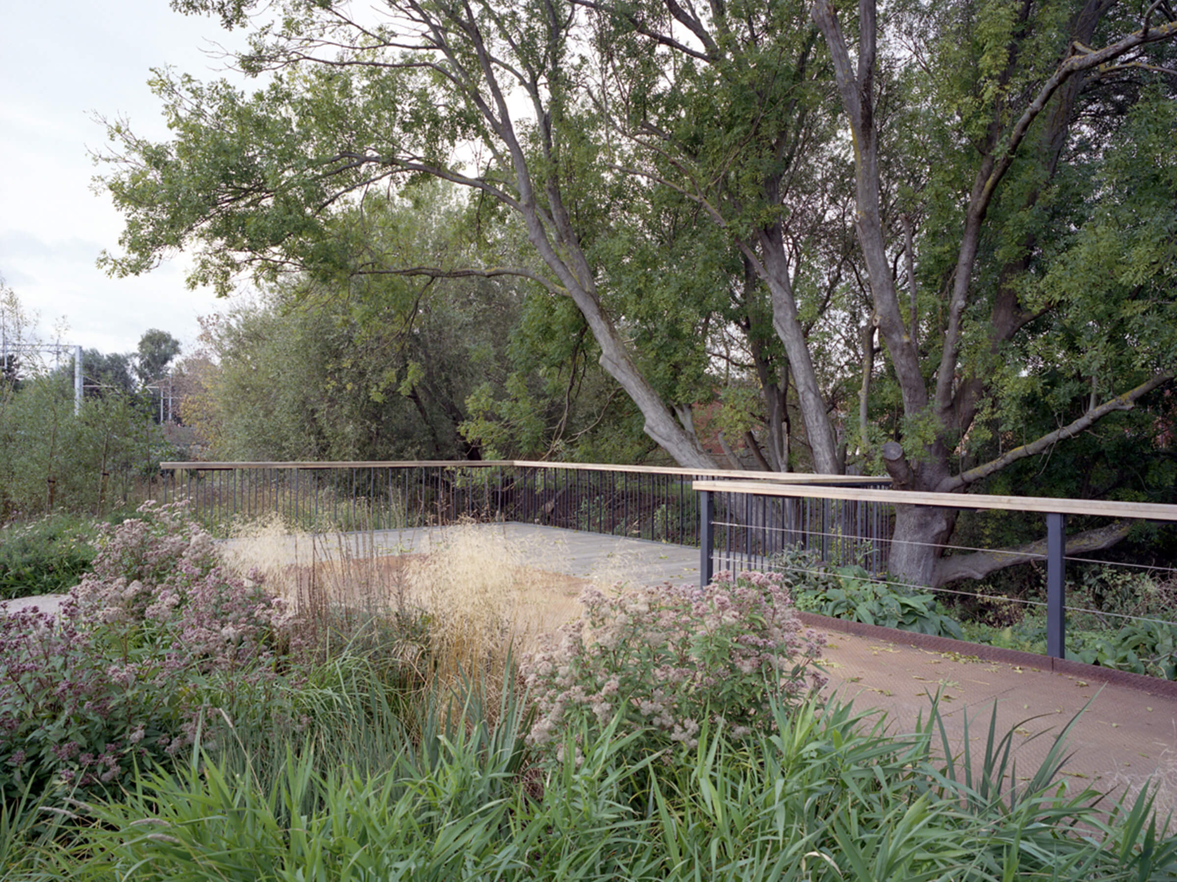 The steel boardwalk along the Old River Lea