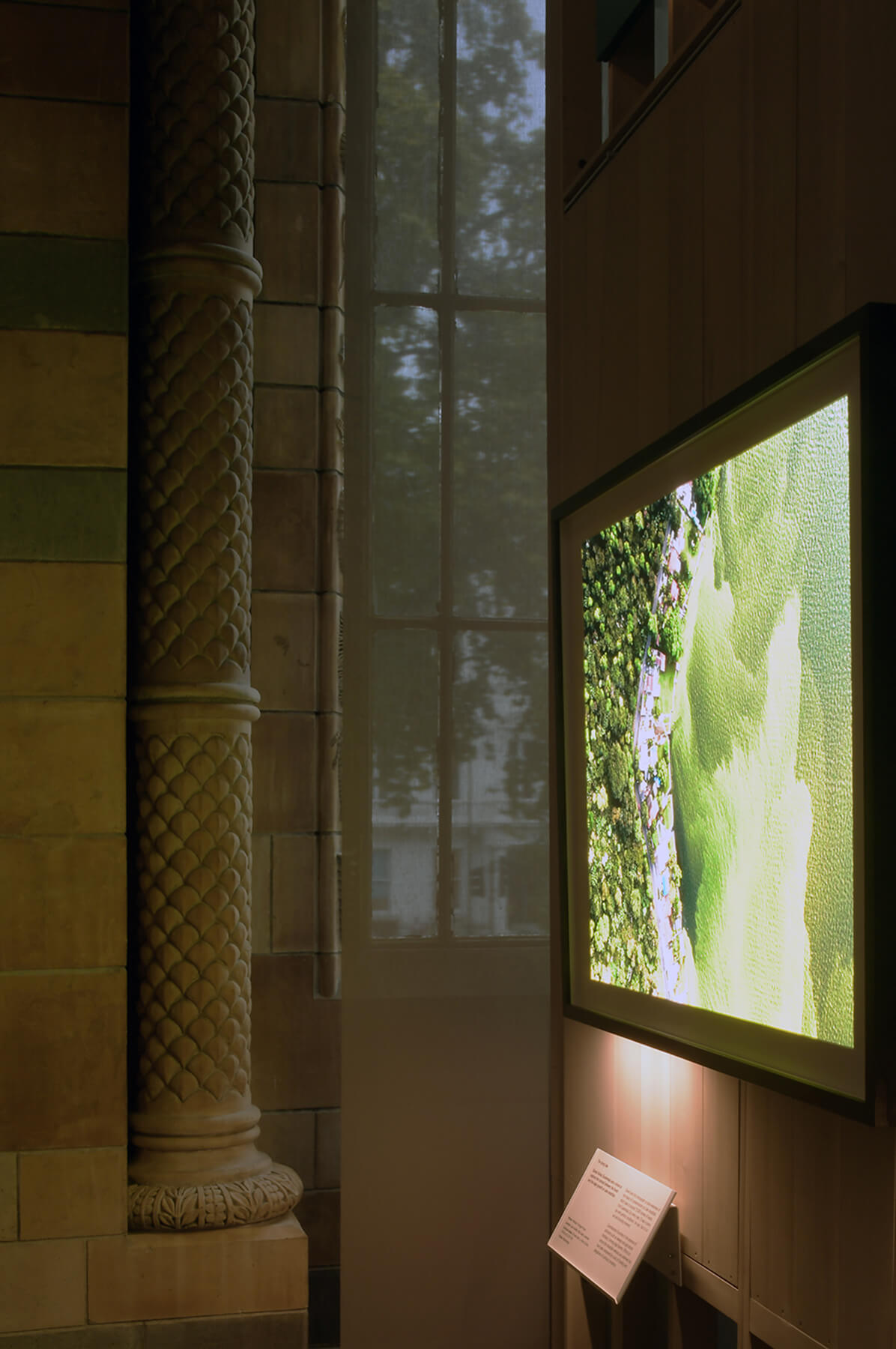 Display at Wildlife photographer of the year in the Natural History Museum