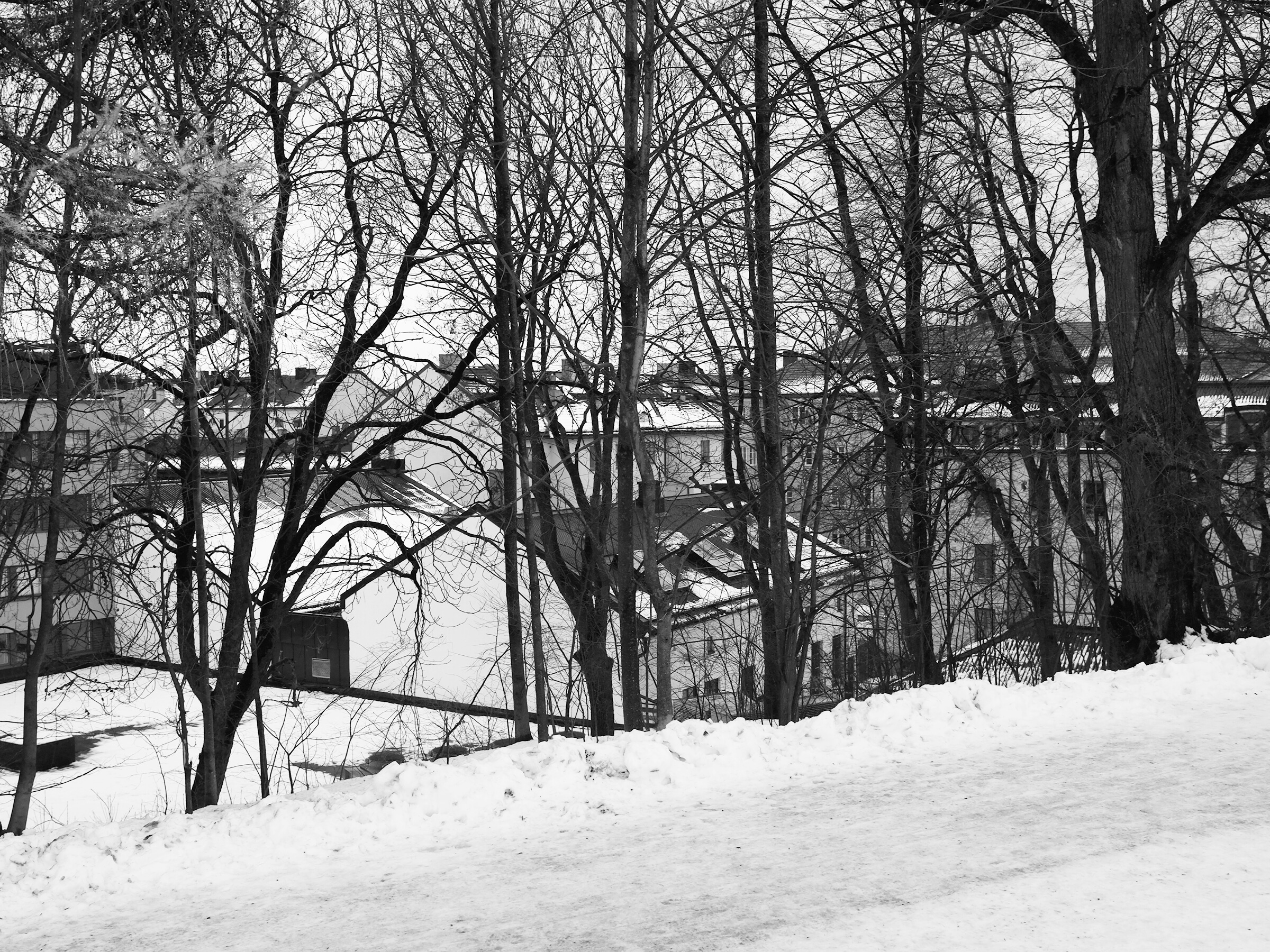 Snowy road