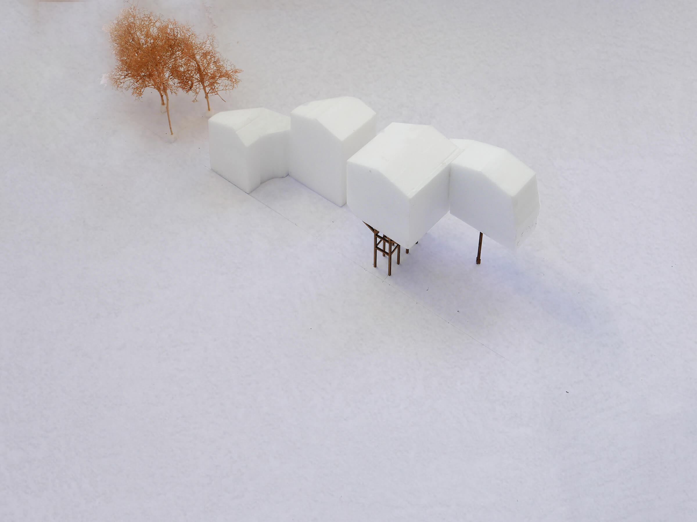 Model of Two twins