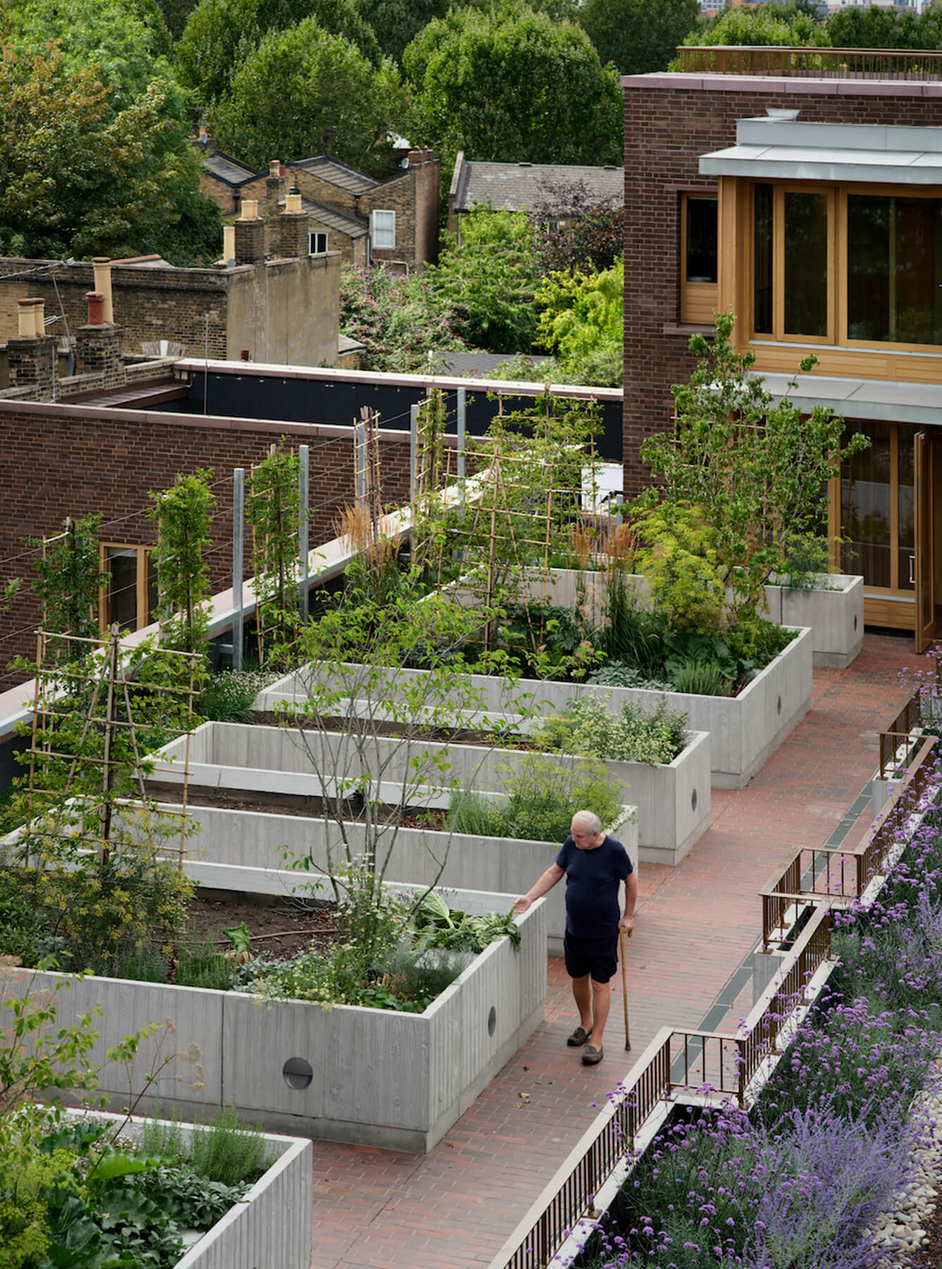 Rooftop Garden. Photo: Philip Vile