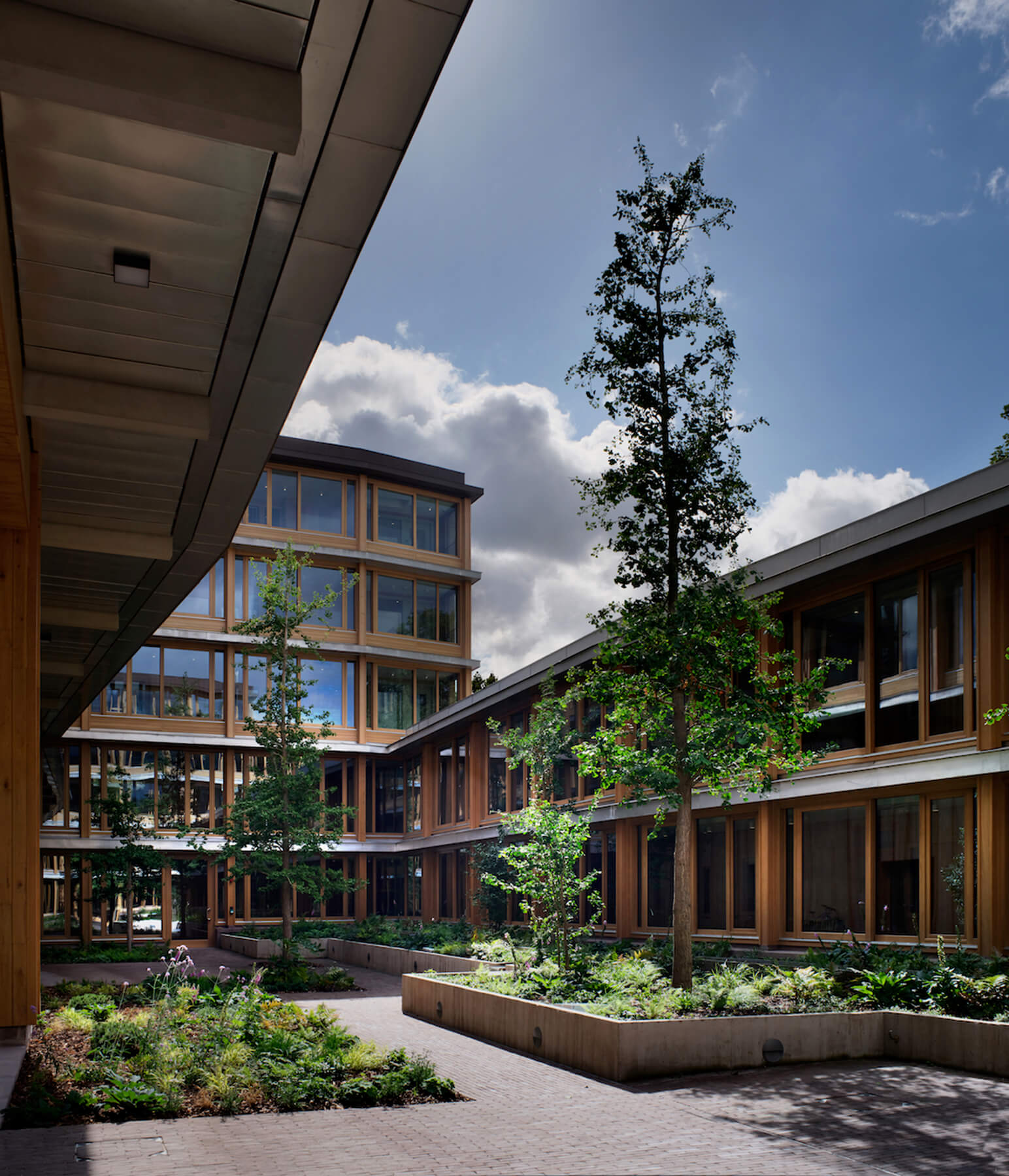 Courtyard Garden. Photo: Philip Vile