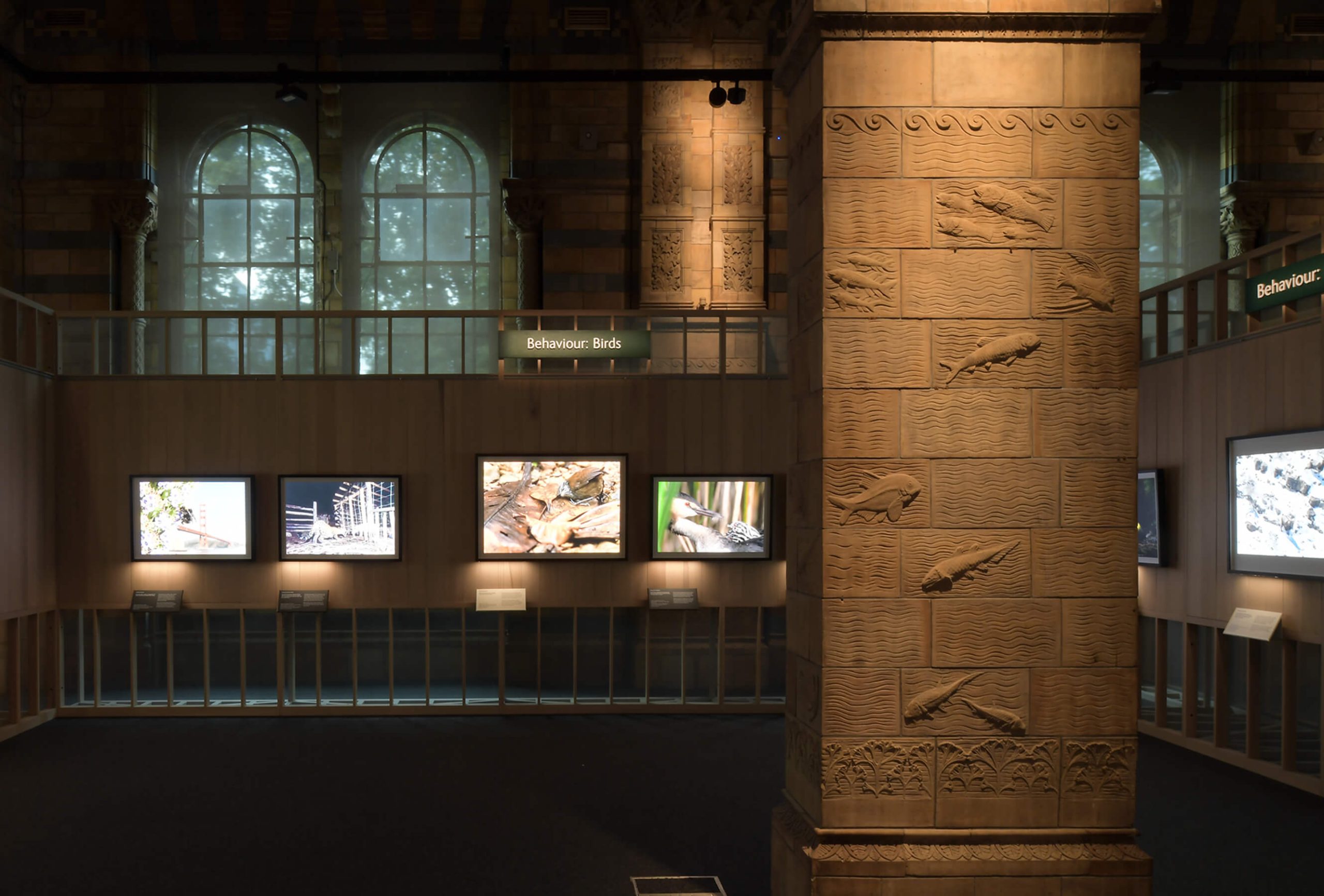 Wildlife photographer of the year exhibition in the Natural History Museum